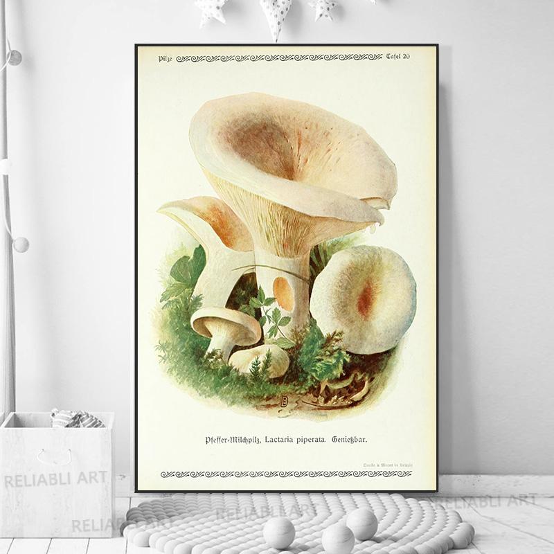 Vintage Mushroom Exemen Malba na plátně Starožitné umění na zeď Bylinné obrazy Vědecké plakáty a grafiky Dekor domácí kanceláře Cuadros