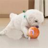 Good-Smart Pettoys Ball Electric Automatic Jumping Rolling Ball Interactive Game Rechargeable Moving Puppy/Kitty