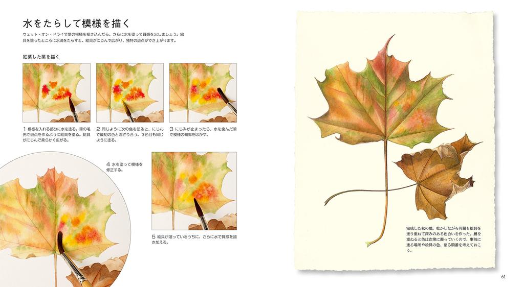 Watercolor Botanical Art