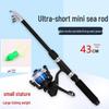 43cm Portable Mini Telescopic Lure Fishing Rod Set for Beginners