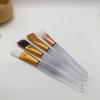 Soft Bristle & Silicone Mask Brush Set for DIY Beauty and Salon