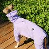 Sommer Outdoor Hundekleidung Greyhound Mäntel Hoher Kragen Wasserdicht Whippet Hundekleidung Designer Luxus Hunde Mantel Groß Mittel Klein