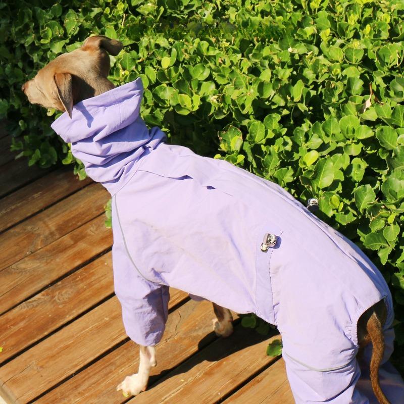 Sommer Outdoor Hundekleidung Greyhound Mäntel Hoher Kragen Wasserdicht Whippet Hundekleidung Designer Luxus Hunde Mantel Groß Mittel Klein