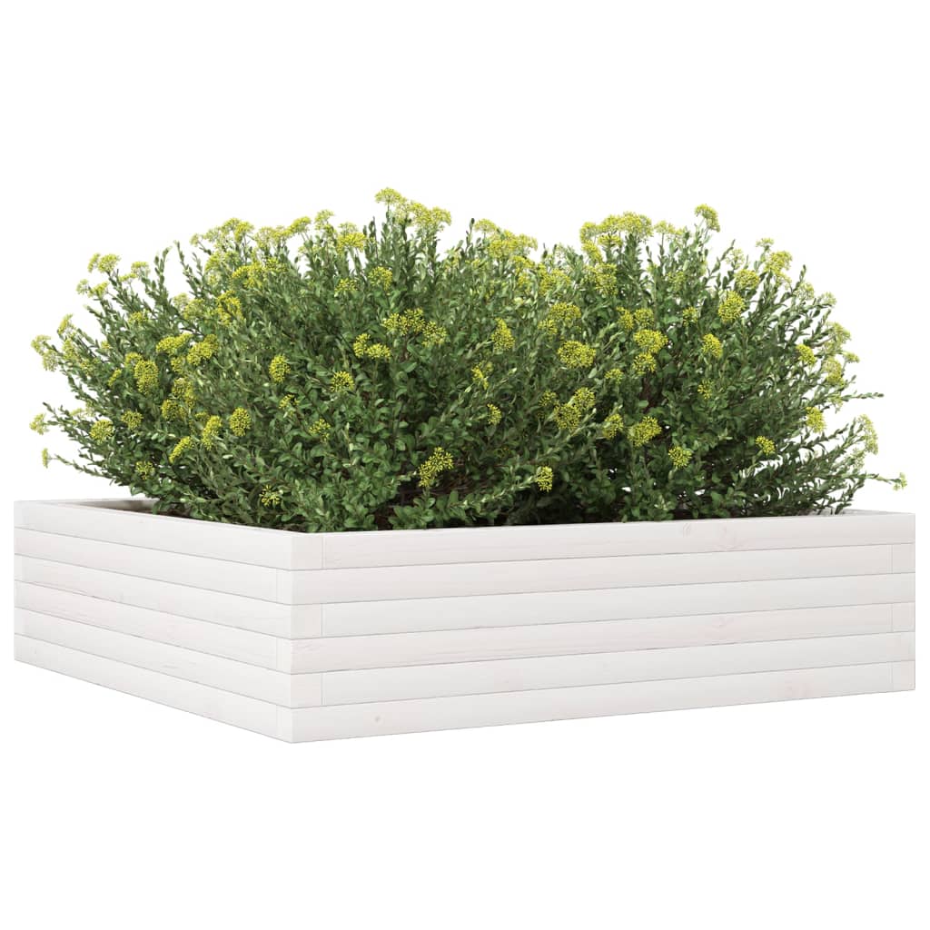 Plant Pot White 90x90x23 Cm Solid Pine Wood