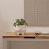 Adornos para Macetas Impresión 3D Lindo Soporte de Planta de Escritorio Duradero PLA Decoración del Hogar para Suculentas