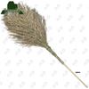 Yongdai Heavy-Duty Wooden Outdoor Broom