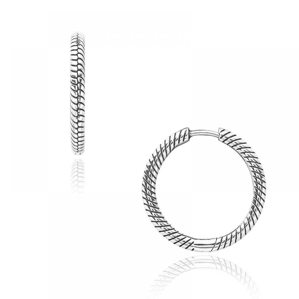 Pandora 299532c00 Moment Charm Hoop Silver Earrings