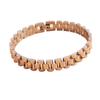 Luxury Titanium Steel Watch Band: Elegant Unisex Bracelet for Men and Women