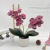 Artificial Phalaenopsis Flower Pot For Outdoor Garden Wedding Decor Photography Props And Home Decor