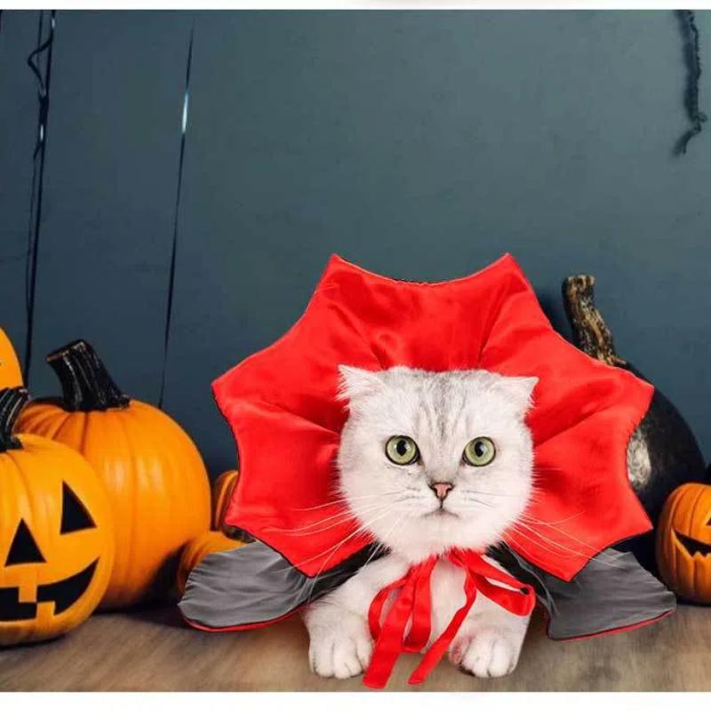 Kitten Halloween Costumes Dog Vampire Cloak Costume Dog Devil Costume Cat Vampire Cloak Cape Halloween Costumes For Pets