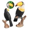 Realistic Toucan Figure Observation Display Static Model Statue Bird Figurine Playhouses Layout Kids Basket Stuffings