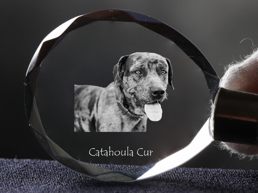 Catahoula Leopard Dog, Catahoula Cur - přívěsek s fotkou pejska, křišťálový přívěsek na klíče v dárkové krabičce, jedinečný dárek od Art-Dog