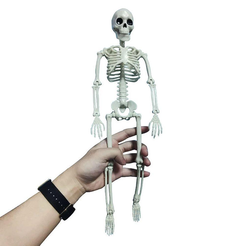 Skeleton Learn Aid Anatomy Skeleton Car Decoration People Active Model Human Skeleton Model