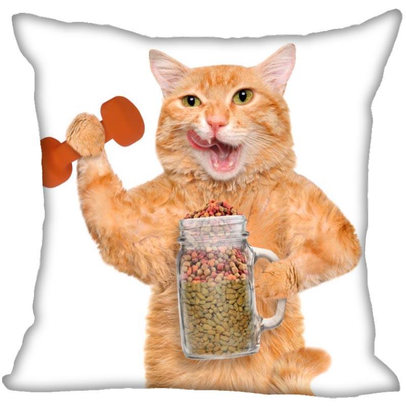 Bedroom Home Office Decor Pillowcase Square  Funny Cat Animal