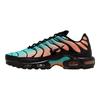 Air Max Plus