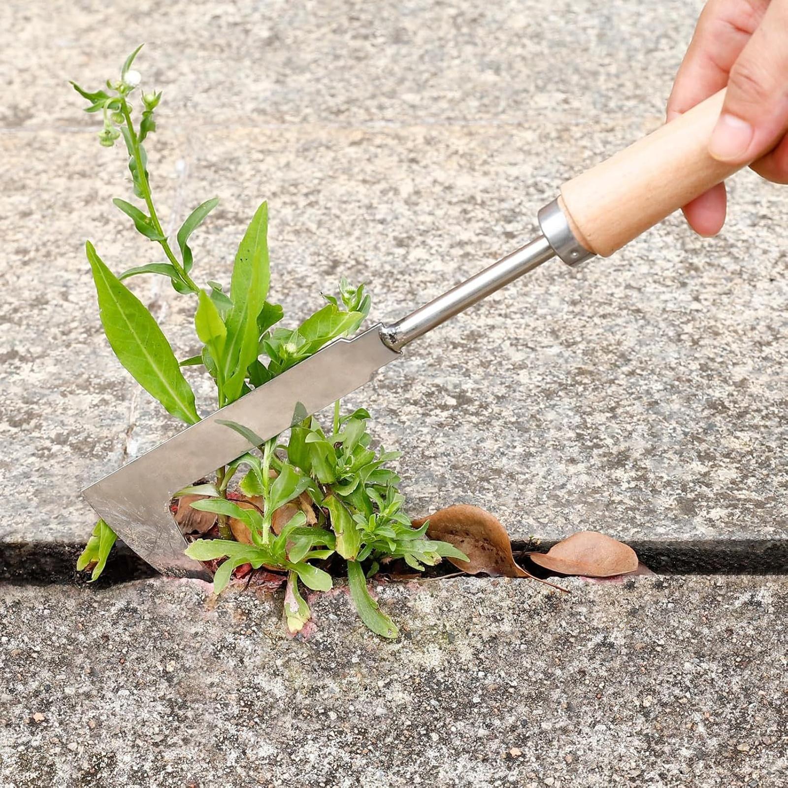 

Stainless Steel Patio Crack Weeder,Pavers,Driveways,Moss Removal,Crevice Digger Tool,Uprooting Weeding Tool for Planting,Weeding One Size