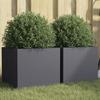 VidaXL Planters 2 Pcs, Flower Boxes, Plant Pots, Flower Boxes, Raised Garden Terrace Planters, 841540