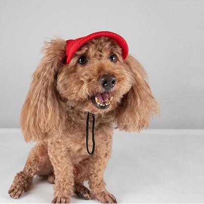 Comfortable Solid Color Pet Baseball Hat Adjustable with Ear Holes Dog Cap Sun Protection Breathable Dogs Sun Hat Sports