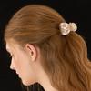 Flower Beads Hair Clip LFSA0206
