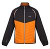 Regatta Steren Hybrid Softshell-Jacke