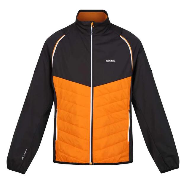 Regatta Steren Hybrid Softshell-Jacke