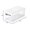 Iwasaki Industrial Fresh Keeper L Commercial Food Storage Container, 4L, with Rack, B-322 N
