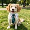 XDDOG Adjustable Cat & Dog Collar Bow Tie with Tape Buckle - Suitable for Small Pets, - Formal Necktie for Costume Accessories, for, Parties,