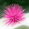 Sea Urchin & Jellyfish Aquarium Decor: Coral & Plant Ornament for Fish Tanks