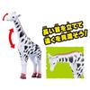 Takara Tomy Ania Adventure Continent Ania Kingdom Amin (Reticulated Giraffe)