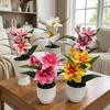 Plastic Simulation Bonsai Multicolor Fake Plant Flower Potted  Home Office Decoration