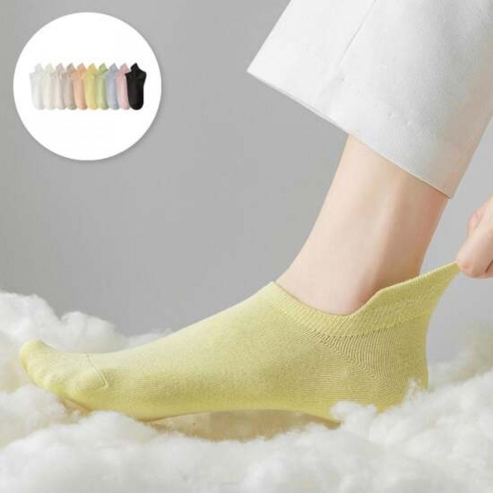 Shop Women S Daily Color Ankle SockS Won wSo wffS6Sd 10 Pair Set