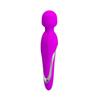 Mortimer USB Purple Vibrator