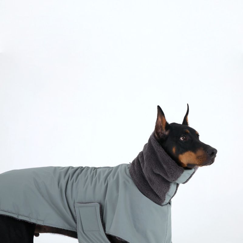 DR.BREEDS Reversible Dumble Jumper Doberman Pinscher Green
