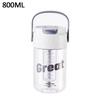 600/800ml High-Capacity Straw Water Cup Premium Sports Water Bottle Perfect Outdoor Camping Drinking Tool for Refreshing Summer