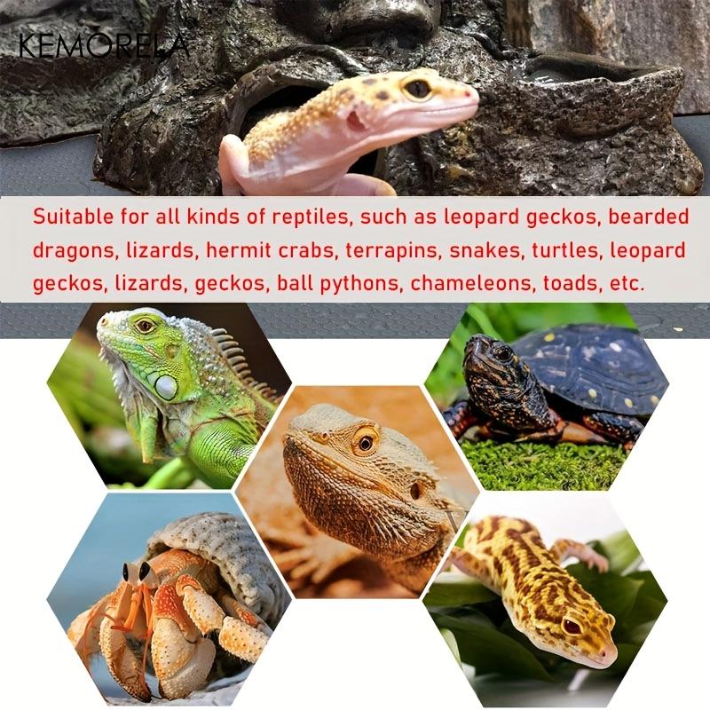 Reptile Carpet Terrarium Liner Bedding Reptile Substrate Mat Safe And Comfortable Reptile Cage Mat For Snake Lizard