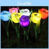 Outdoor Solar Lawn Light With 12-16 Hour Continuous Illumination Energy Efficient