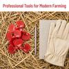 500Pcs Reusable Chicken Spectacles Plastic Anti Pecking Glasses Poultry Equipment  Chicken Farm