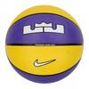 Lebron James Playground 2.0 8 Panel Basketball