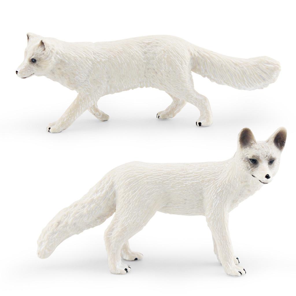 Realistic Polar Fox Model Set Four Variants Of Arctic Fox Figurines For Display And Collecting