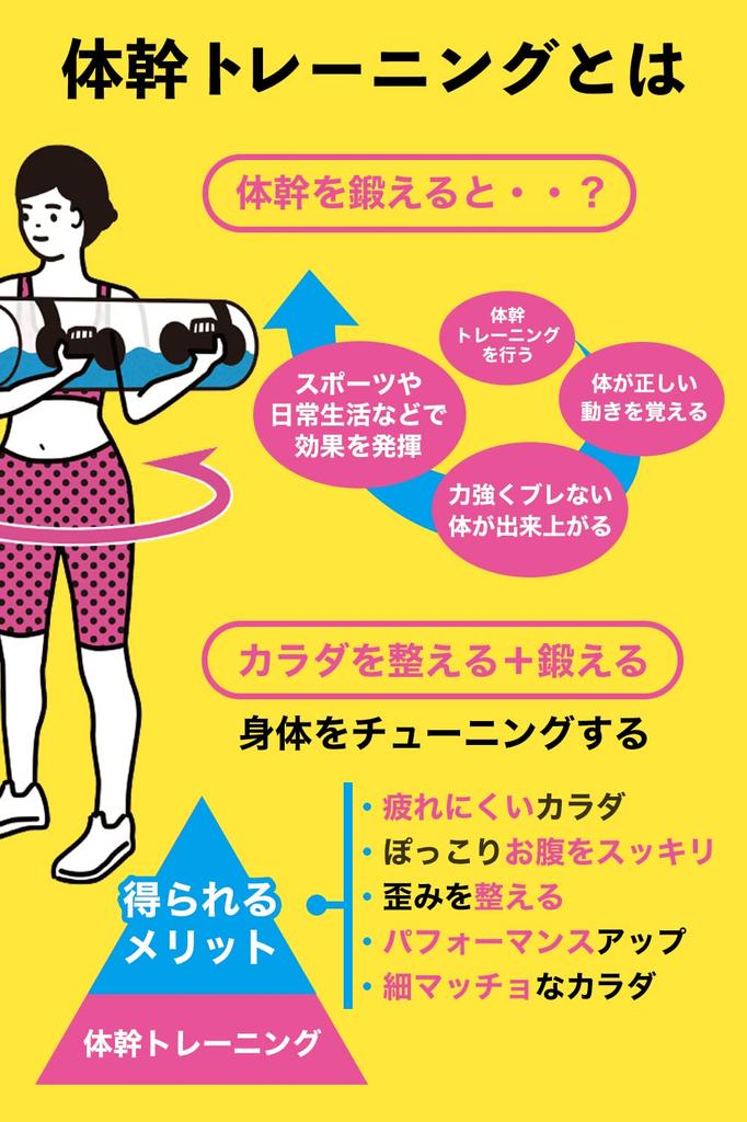 Happiest Water Bag, Water Dumbbells, Strength Training Equipment [10kg 15kg], Toreco-2 with Instruction Manual and Inflator (20L)