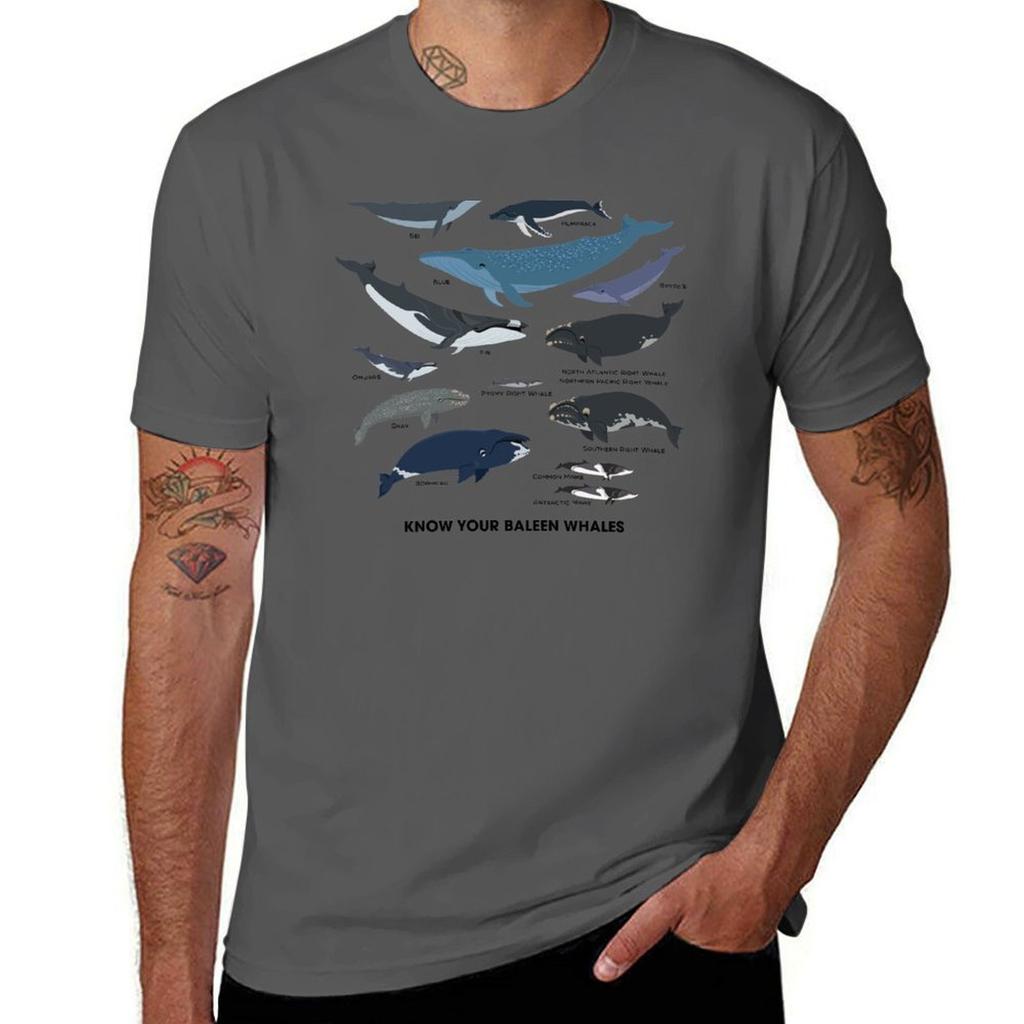 Know Your Baleen Whales Tshirt Daily Wear Plain Short Sleeve Shirt