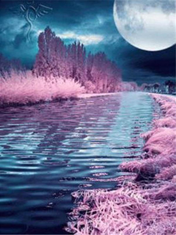 Diamant-Malerei, Mond, voller Bohrer, quadratisch, Diamant-Stickerei, Baum, Perlen, Mosaik, Küstenlandschaft, 5D, DIY-Kunst, Wanddekoration