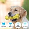 Bump Design Dog Chew Toy Wear-resistant Dog Interactive Training Toys  Pet Dental Care