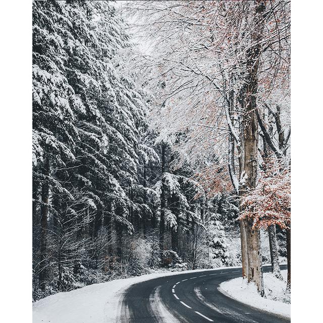 Vertical Board Beautiful Forest Scenery Modern Photo Painting Highway Winding Lines Wall Stickers HD Printing Art Decoration