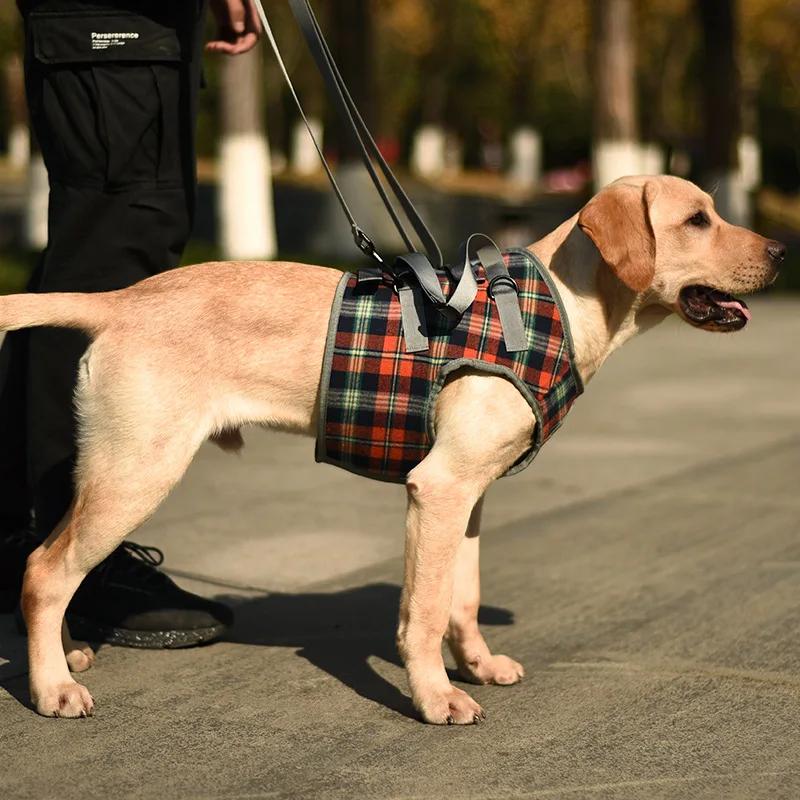 Adjustable Dog Support Harness for Front