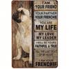 Französische Bulldogge Metall Wandkunst x Zoll Vintage Blechschild für Heimbar Dekor Frenchie Liebhaber Geschenk