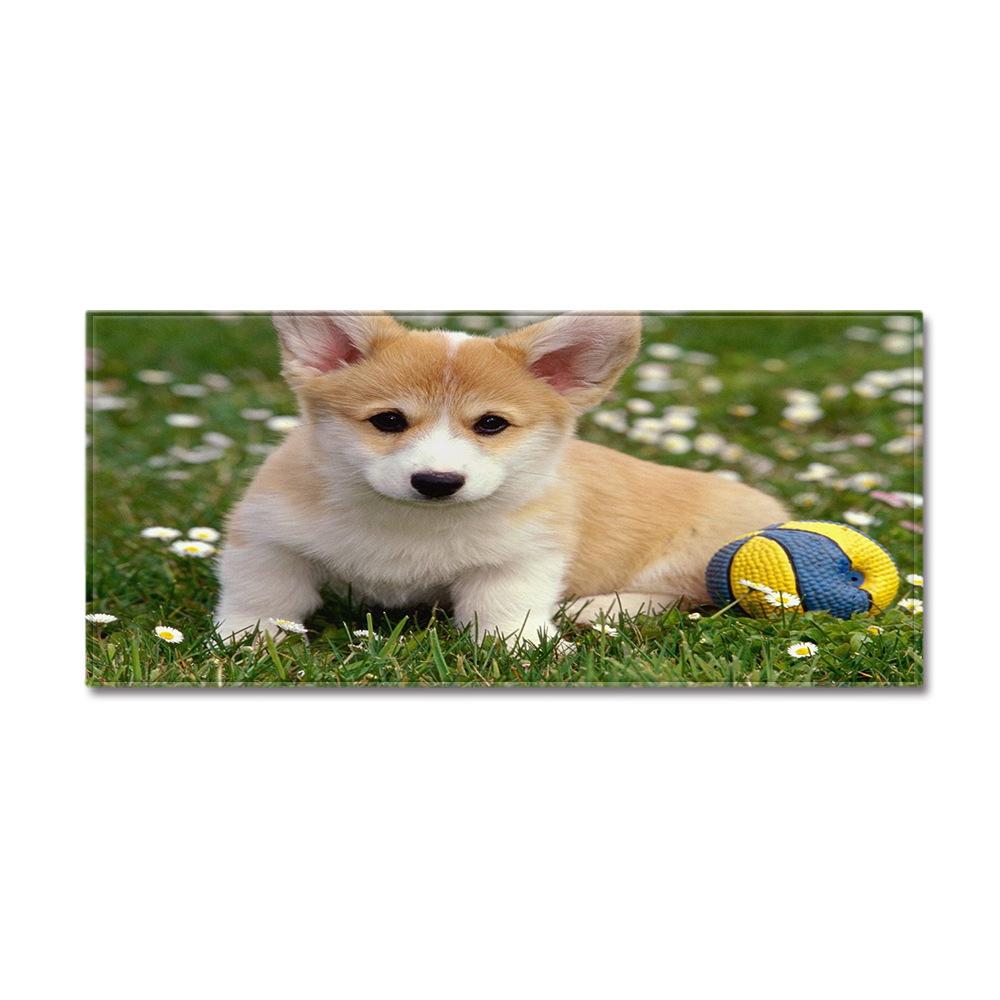 Cute Animal Entrance Door Mat Toilet Non-Slip Floor Mat Bathroom Absorbent Foot Mat Bedroom Living Room Carpet