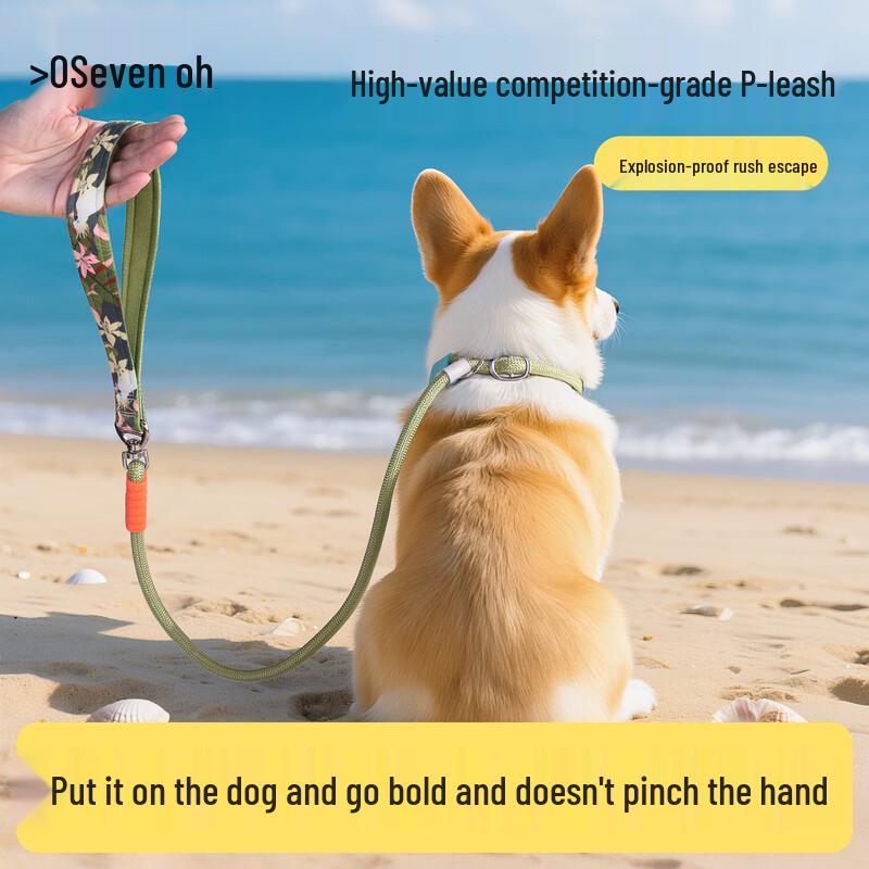 Qio Pet Dog Walking Leash