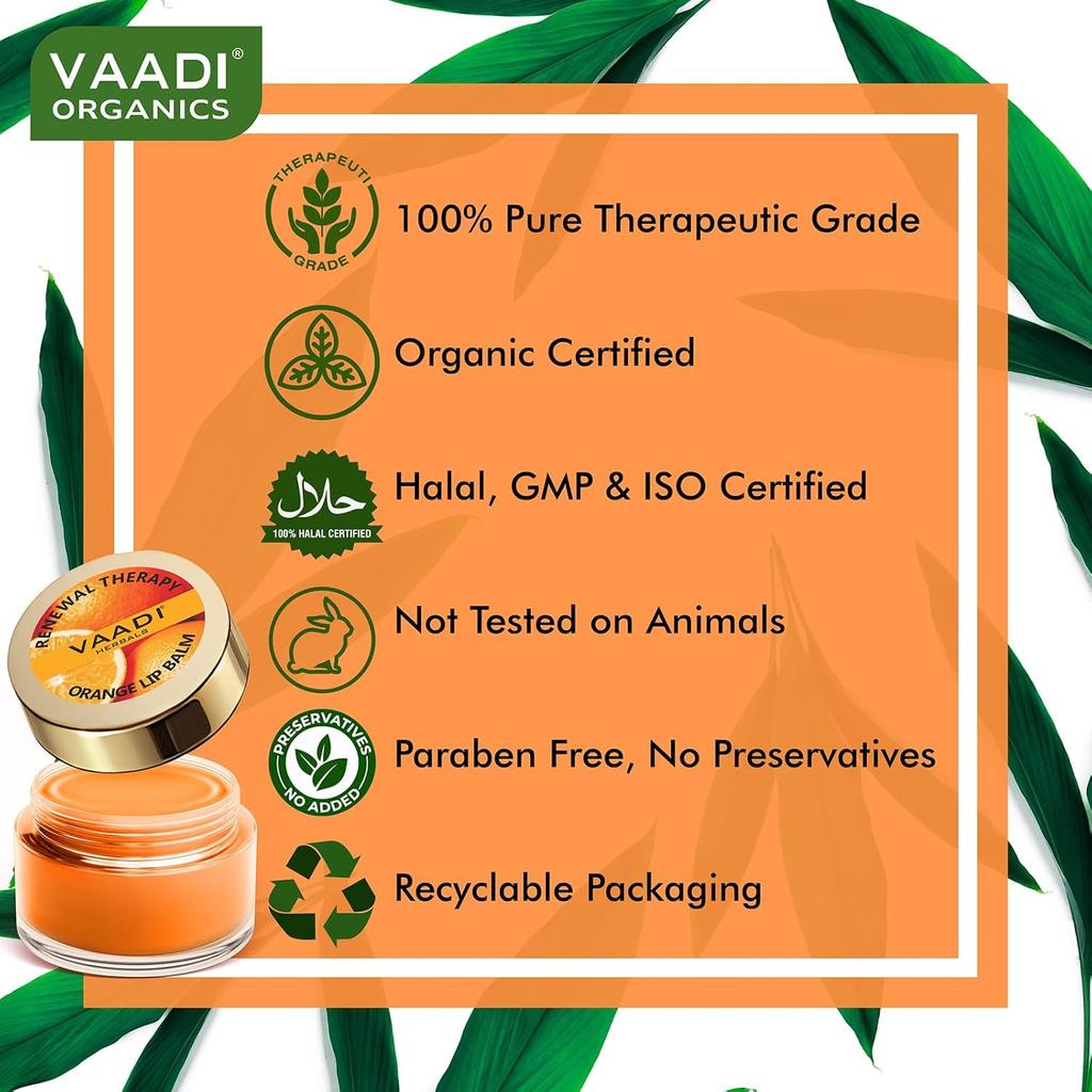 Vaadi Herbals Orangen-Sheabutter-Lippenbalsam Feuchtigkeitsspendende Lippenpflege Für Weiche Glatte Lippen Mit Vitamin E & Jojobaöl 10 g X Packung mit 4