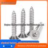 304 Stainless Steel Countersunk Flat Head Plum Self-Tapping Screw with Shank